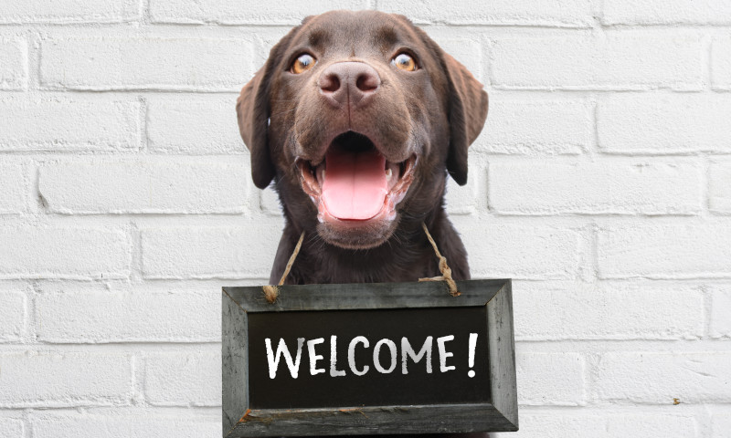 Welcome